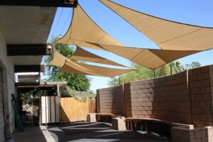 Backyard Construction